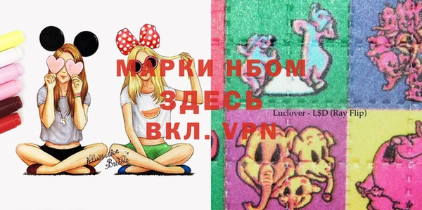 apvp Вязьма